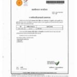 WhatsApp Image 2025-10-15 at 11.03.18 AM (10)