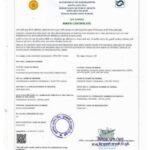 WhatsApp Image 2025-10-15 at 11.03.18 AM (9)