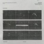 WhatsApp Image 2025-10-15 at 11.16.37 AM (11)