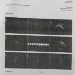 WhatsApp Image 2025-10-15 at 11.16.37 AM (12)