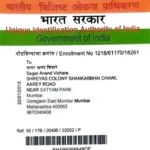 sagar vichare(Father) - adhar card