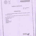 compressed_image (7)