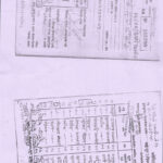 compressed_image (8)