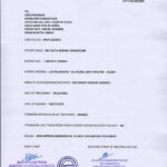 compressed_image (9)