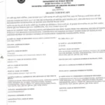 Ali-Razaak-Shaikh-05